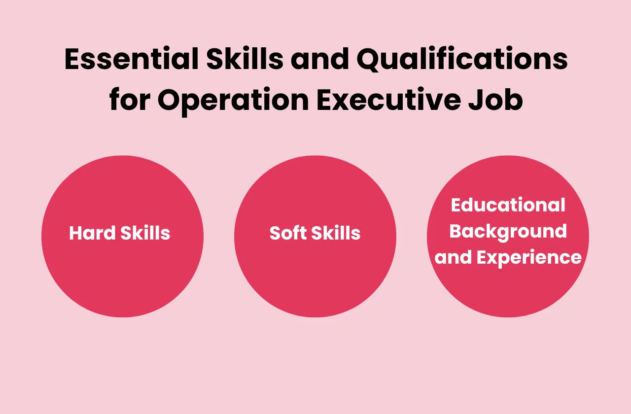 essential skills qualifications operation executive job