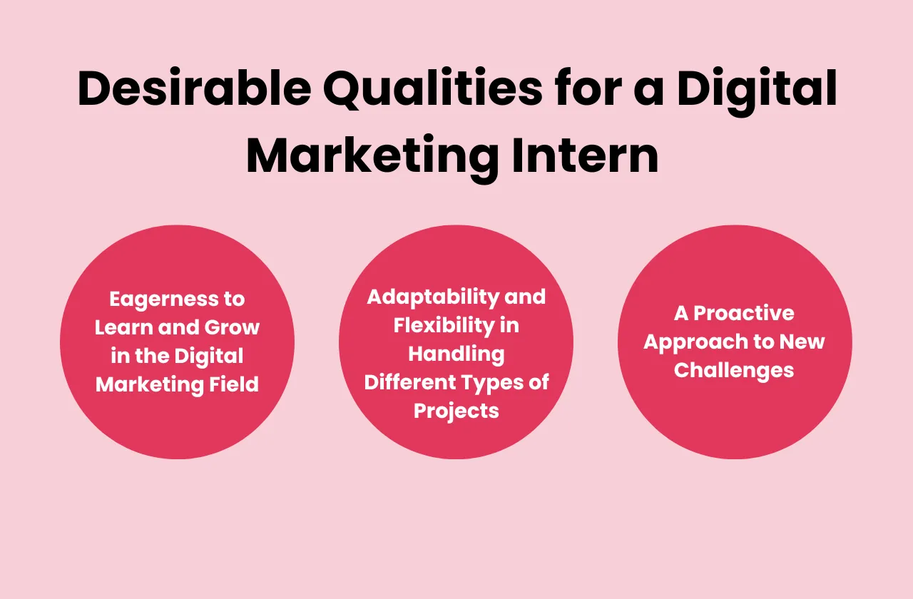 Desirable Qualities Digital Marketing Intern