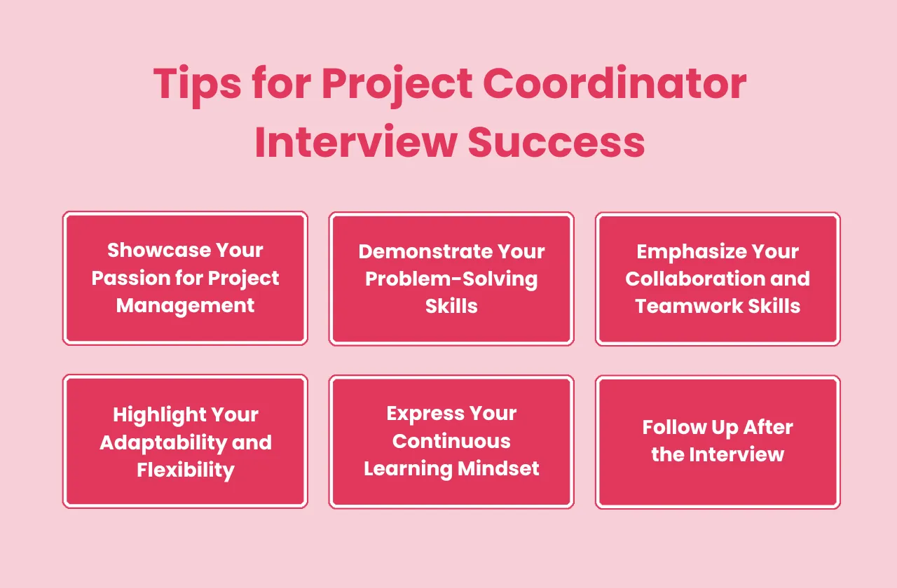 Tips Project Coordinator Interview Success