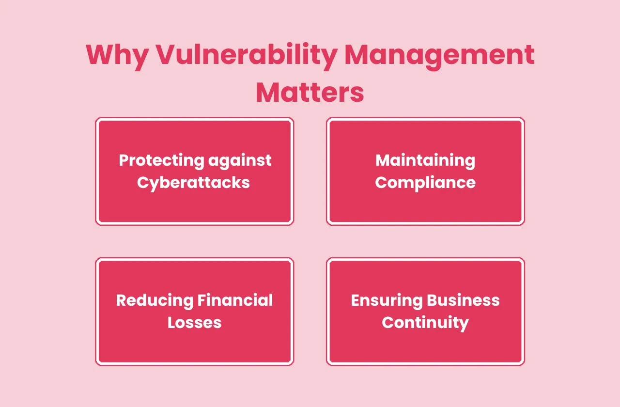 Why Vulnerability Management Matters